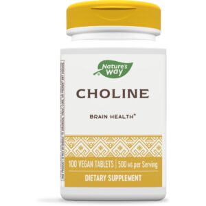 NATURES WAY CHOLINE 500MG 100VEGAN TABLETS