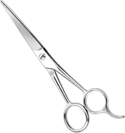 BIANFENS PROFESSIONAL BARBER SCISSORS