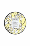DVINE VANILLA BLOSSOM & COCONUT BODY BUTTER 100G