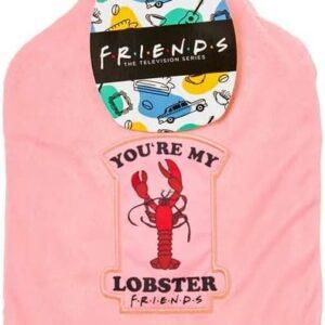 HOT WATER BOTTLE YOU`RE MY LOBSTER FRIENDS
