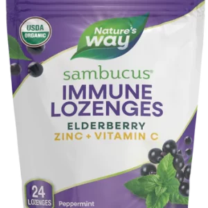 NATURES WAY SAMBUCUS ELDERBERRY ORGANIC ZINC LOZENGES H&L 24S
