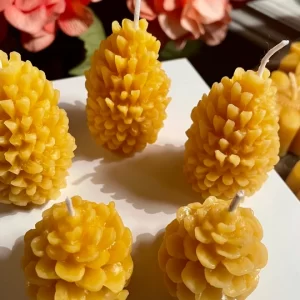SWOYE PINE CONE CANDLES