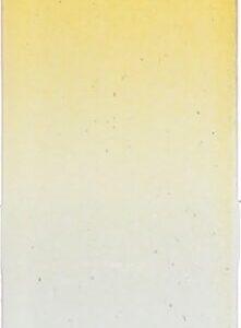 TOP CHOICE TC NAIL FILE 77593